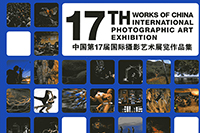 17th China International Photographic Art Exhibition