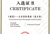 17th China International Photographic Art Exhibition
